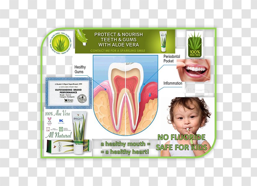 Toothpaste Aloe Vera Forever Living Products Fluoride - Silhouette Transparent PNG
