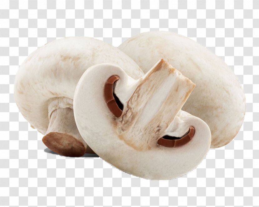 Common Mushroom Stock Photography Edible Royalty-free Fungus - Fresh White Mushrooms Transparent PNG