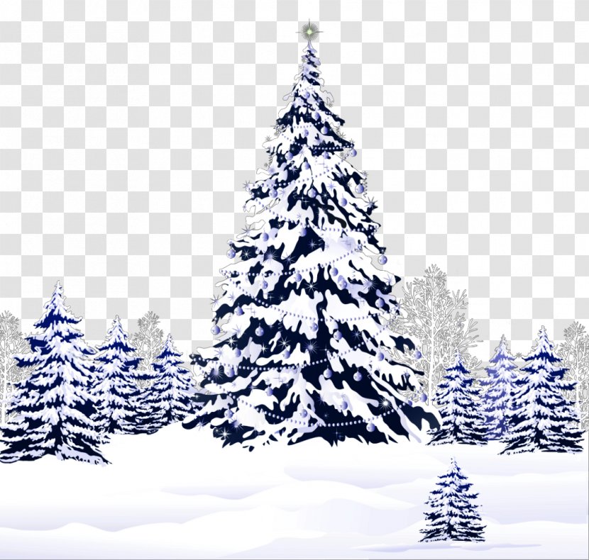 Christmas Saint Nicholas Day Desktop Wallpaper Clip Art - Decoration - Pine Tree Transparent PNG