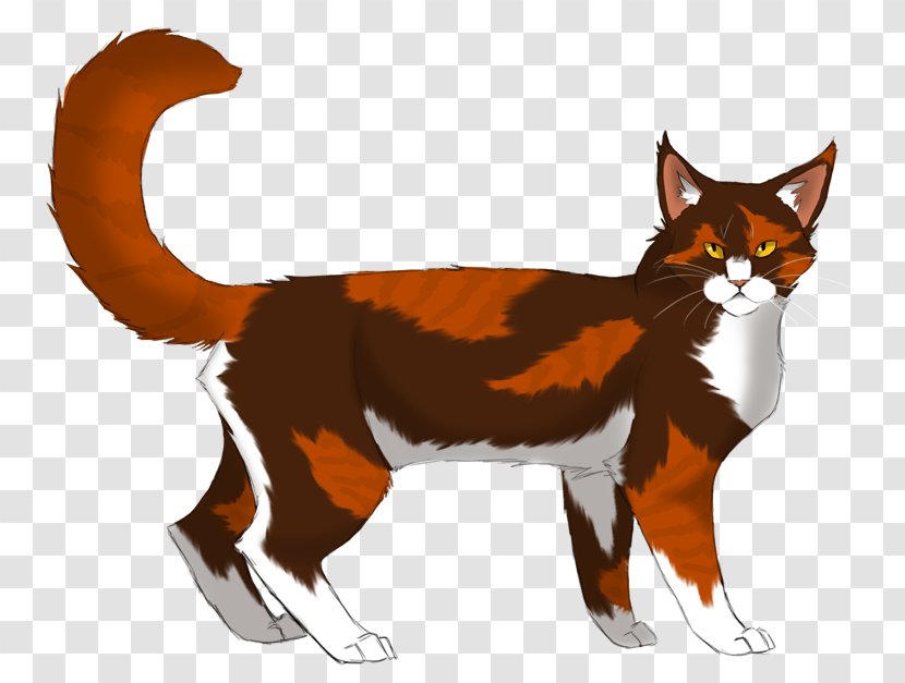 Cat Warriors Redtail Firestar Sandstorm - Vertebrate Transparent PNG