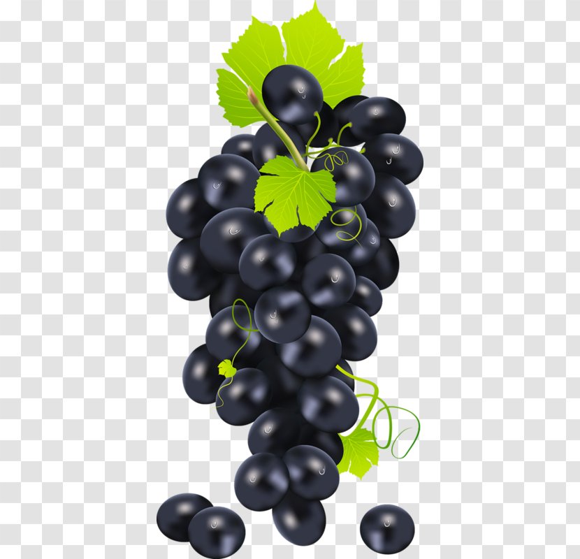 Common Grape Vine Clip Art - Table - Bunch Of Purple Grapes Transparent PNG