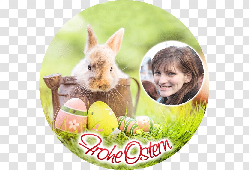 Easter Bunny Good Friday Egg Hunt - Gift Transparent PNG