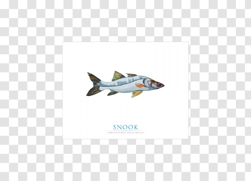 Fighter Aircraft Airplane Aviation Air Force Jet - Fish Card Transparent PNG