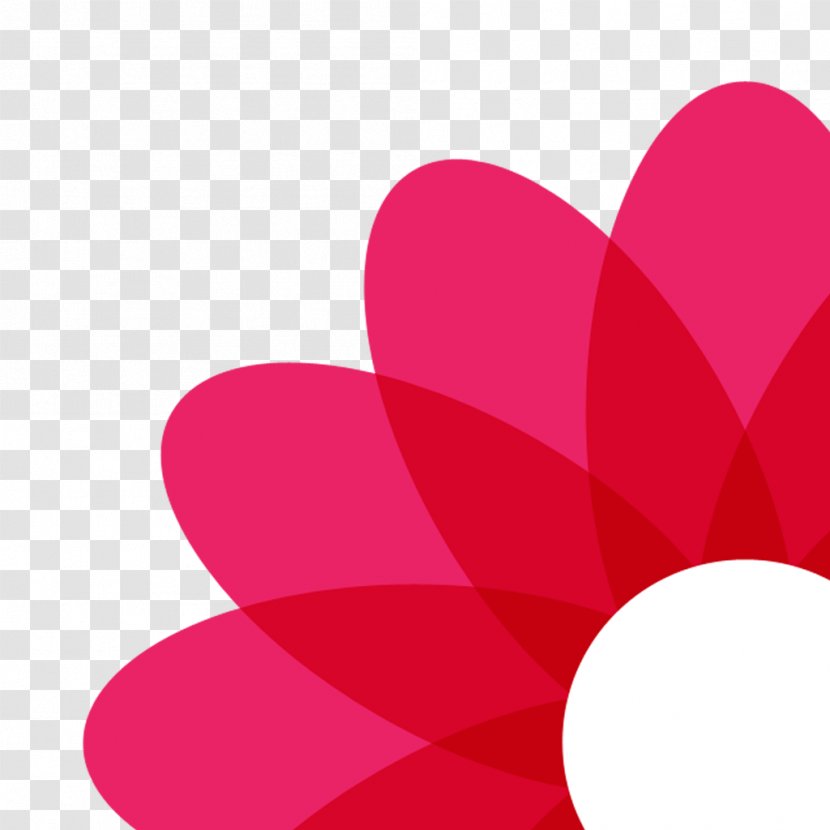 Mobile App Store Moscow Flower Bouquet - Red Transparent PNG