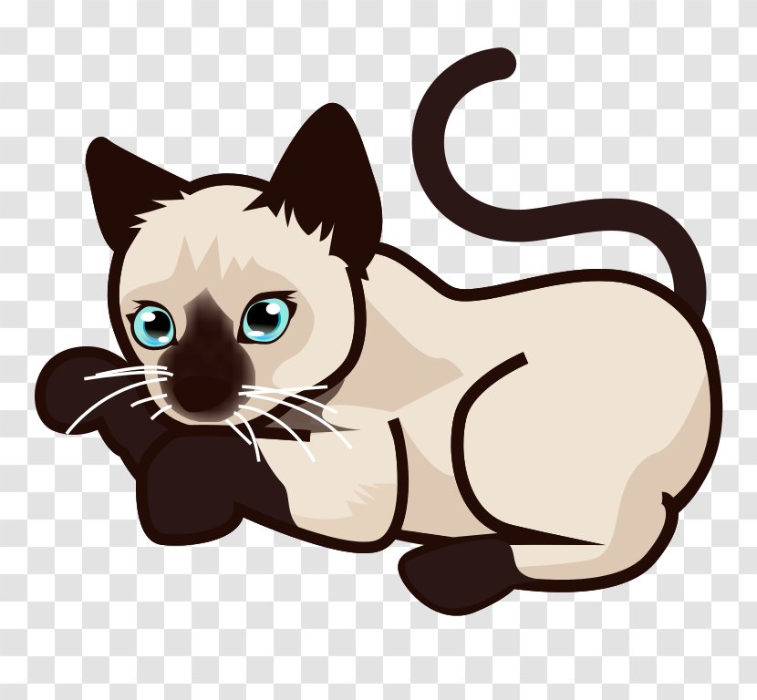 Siamese Cat Kitten Thai Maine Coon Bengal - Bad Kitty - Vector Transparent PNG