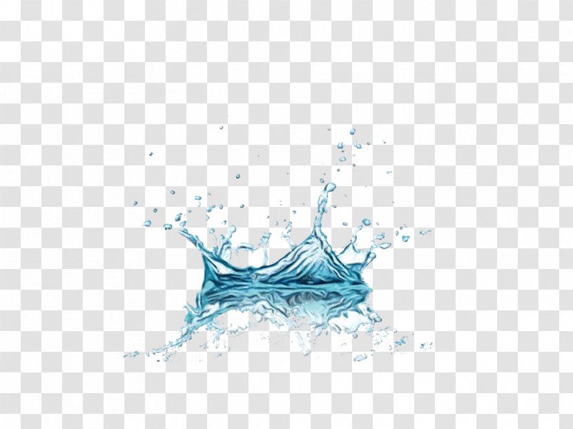 Water Drop - Drawing - Logo Transparent PNG