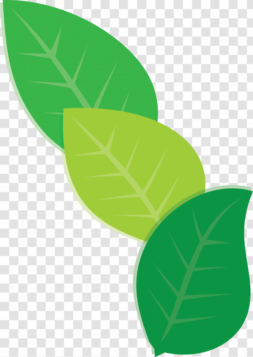 Leaf Plant Stem Green Font Meter Transparent PNG