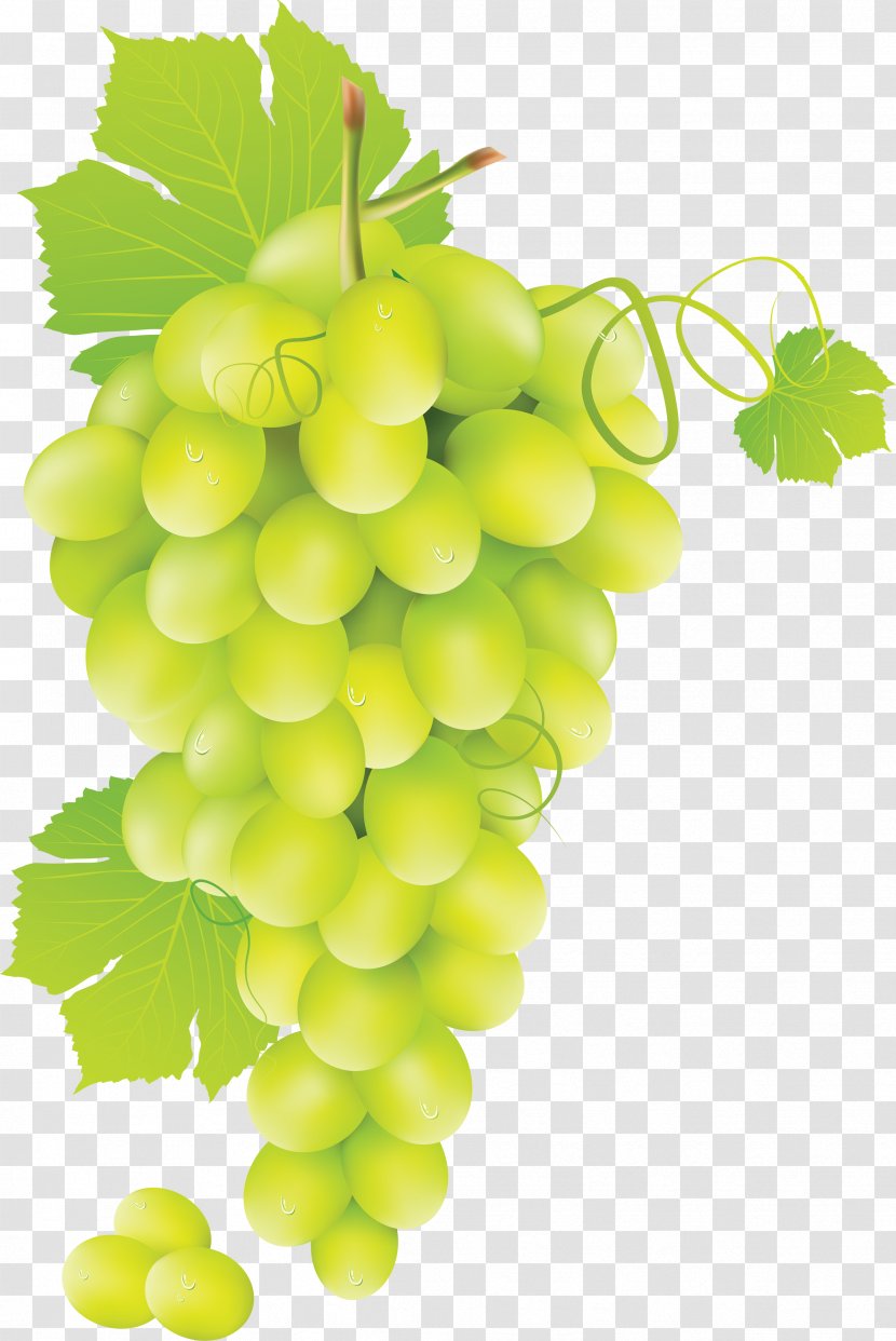 Grape Smokeless Aces Clip Art - Green Image Transparent PNG