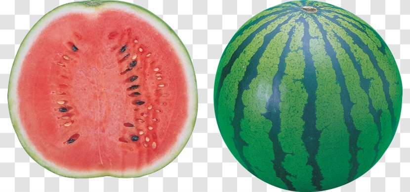 Watermelon Food Clip Art - Gourd Order - Frutas Transparent PNG