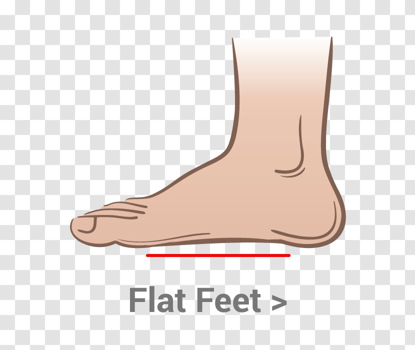 Thumb Flat Feet Shoe Toe Foot - Flower Transparent PNG