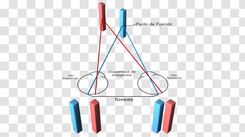 Binocular Disparity Vision Stereopsis Visual Perception Transparent PNG