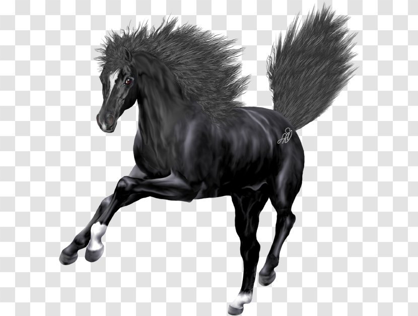 Mustang Stallion Mare Halter Bridle - Horse Transparent PNG
