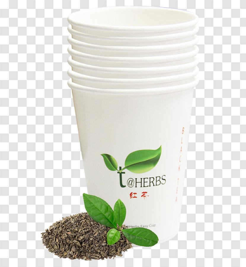 Green Tea Henna Infusion Color - Flowerpot - Qingming Festival Transparent PNG