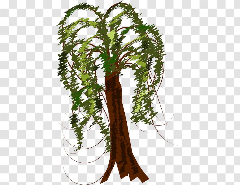 Clip Art Tree Trunk Branch Vector Graphics - Flowerpot - Black Willow Transparent PNG