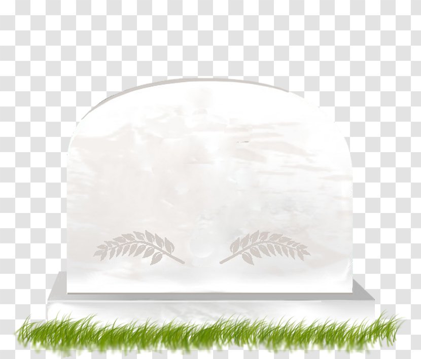 Rectangle - Grass - Design Transparent PNG