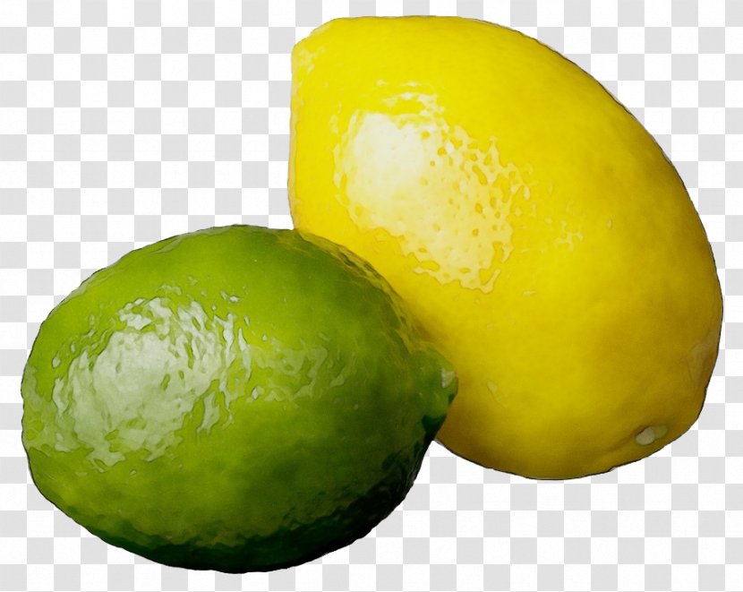 Persian Lime Fruit Lemon Sweet Citrus - Watercolor - Yellow Transparent PNG