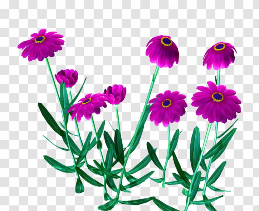 Flower Floral Design Drawing - Flowering Plant - Watercolor Flowers Creative Illustration Transparent PNG