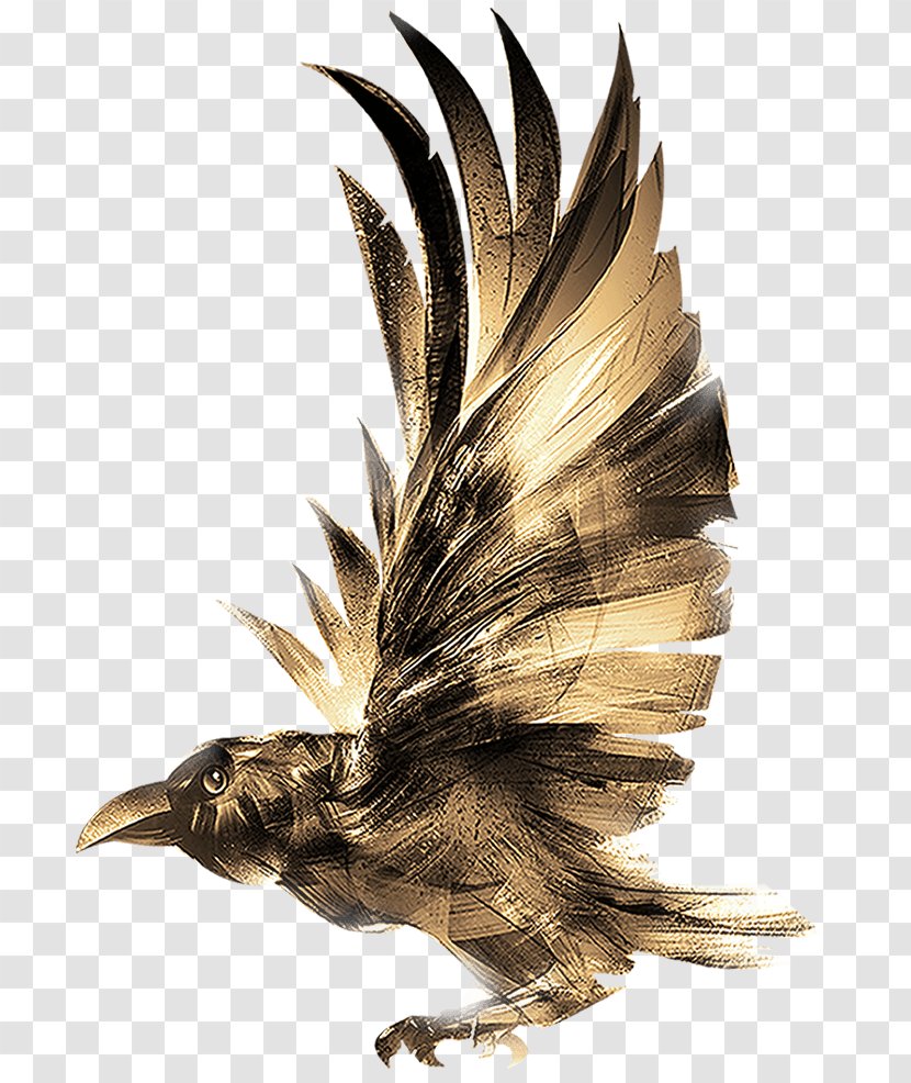 Eagle Bird - Common Raven - Tail Falconiformes Transparent PNG