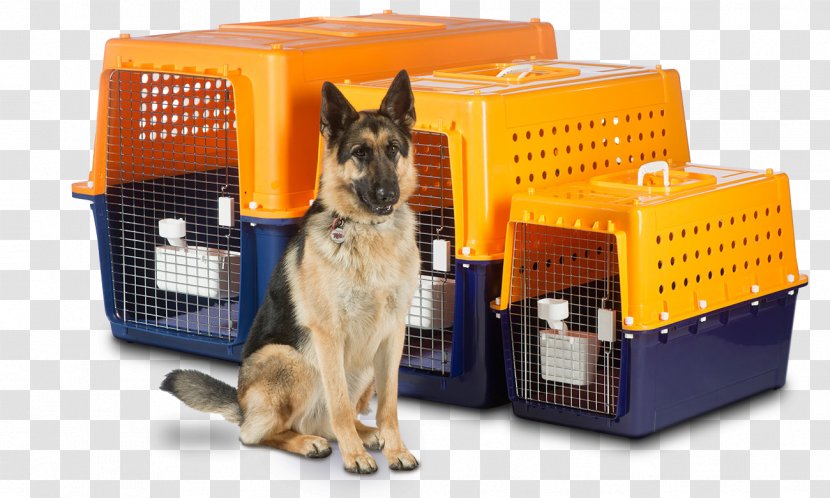 Mover Pet Travel Relocation Transport - Courier - Best Offer Transparent PNG