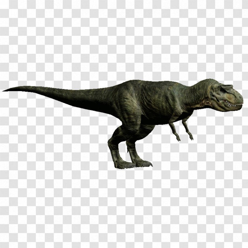 Tyrannosaurus Velociraptor Jurassic Park Spinosaurus Deinonychus - Mosasaurus Transparent PNG