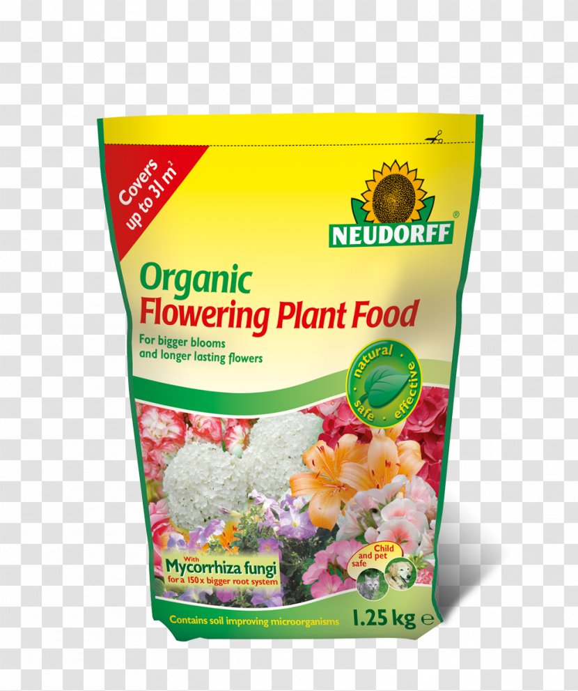 Breakfast Cereal Organic Food Natural Foods - Plant Transparent PNG