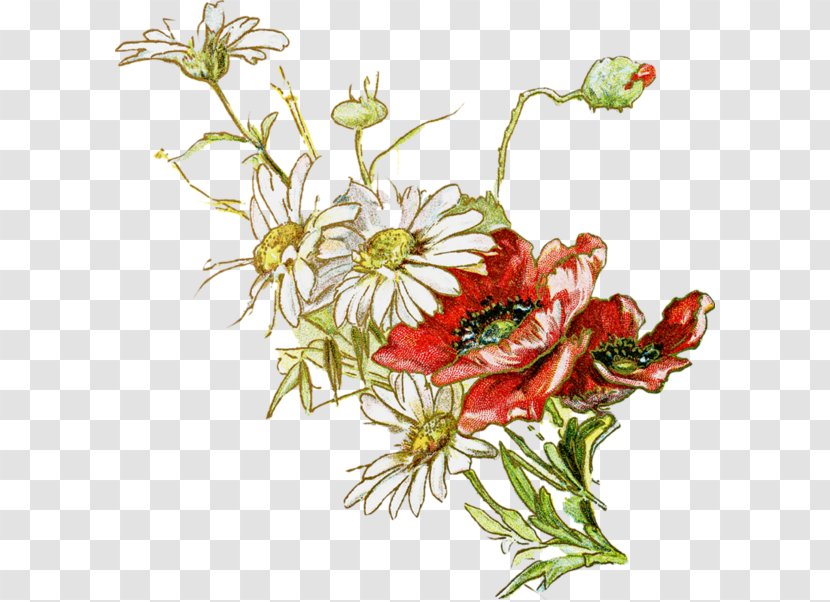 Floral Design Chrysanthemum Xd7grandiflorum Flower Clip Art - Color Transparent PNG