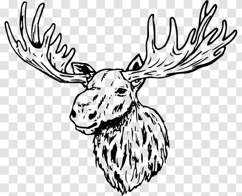 Deer Antler Line Art Clip - Horn Transparent PNG