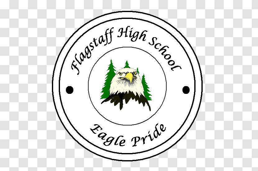 Flagstaff High School 7000 Feet Of Sound Logo American Football Beak - Seagull Ports Transparent PNG
