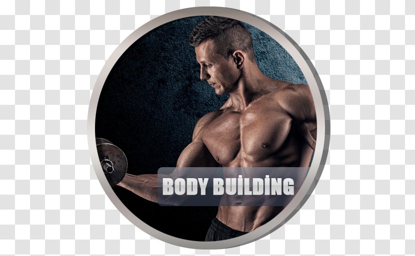 Exercise Physical Fitness Weight Training Loss Bodybuilding - Tree - Body Build Transparent PNG