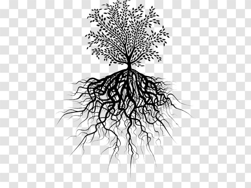 Twig Tree Of Life Root Branch - Logo - Background Transparent PNG