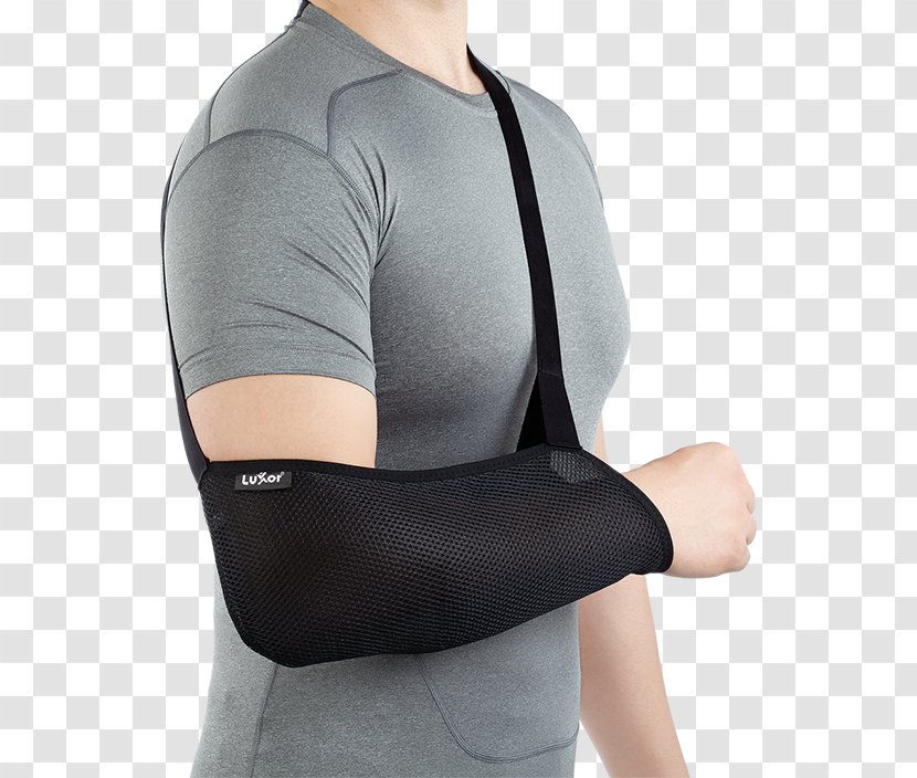 Elbow Shoulder Arm Sling Rotator Cuff - Tree Transparent PNG
