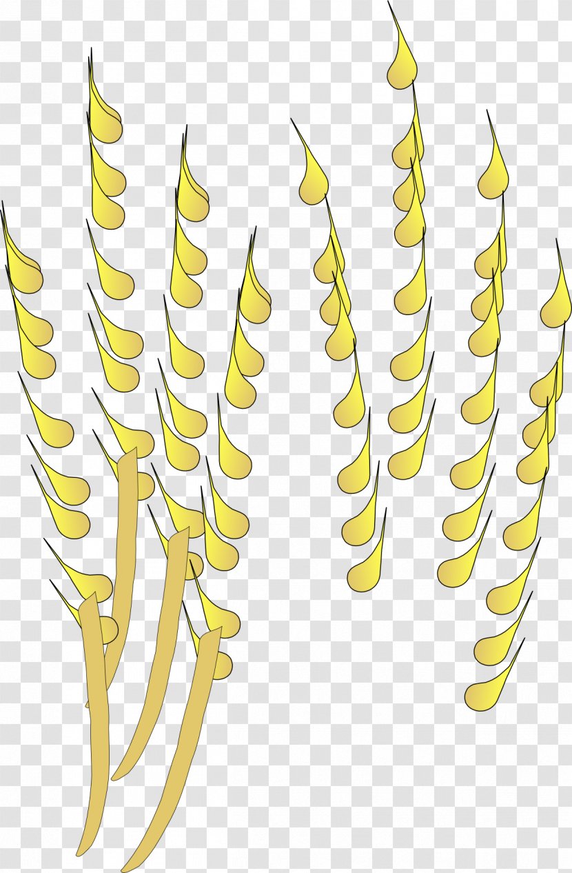 Wheat Cereal Pixabay Clip Art - Golden Transparent PNG