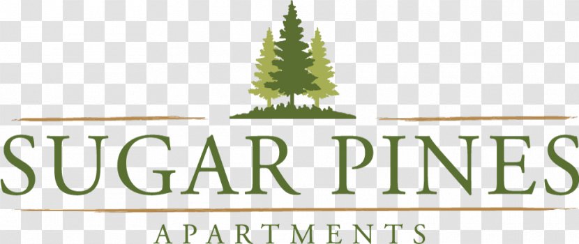 Logo Sugar Pines Apartments Christmas Tree - Real Estate - Welcome Call Center Cat Transparent PNG