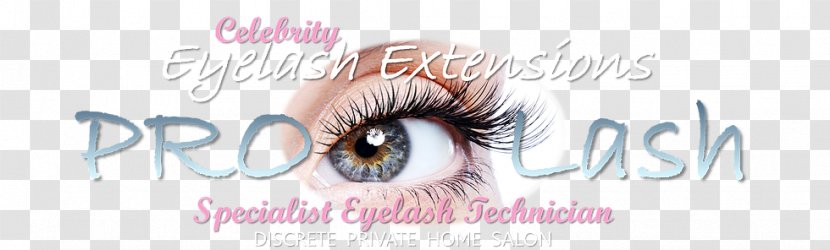 Eyelash Extensions Eyelid Glue Eyebrow Adhesive - Tree - Extension Transparent PNG