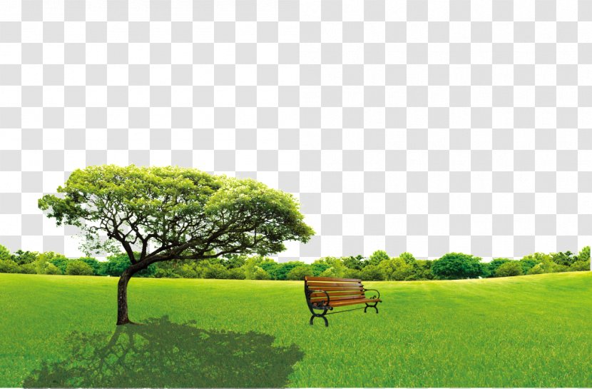 Tree Arbor Day Image Green - Savanna - Grassland Transparent PNG