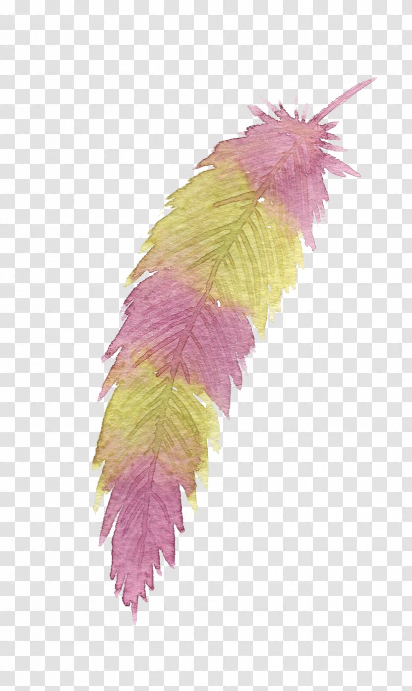 Gouache Feather Yellow Purple - Pigment - Painted Feathers Transparent PNG