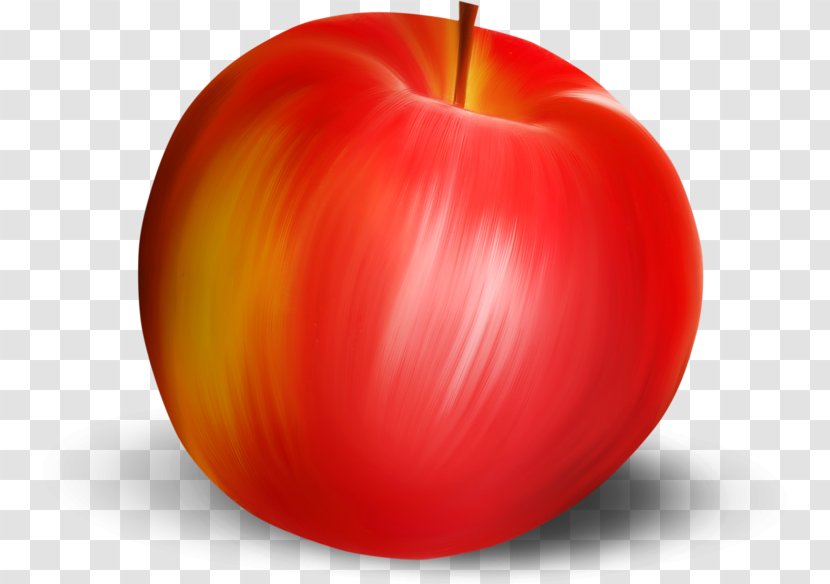 Apple Local Food - Hand-painted Red Transparent PNG
