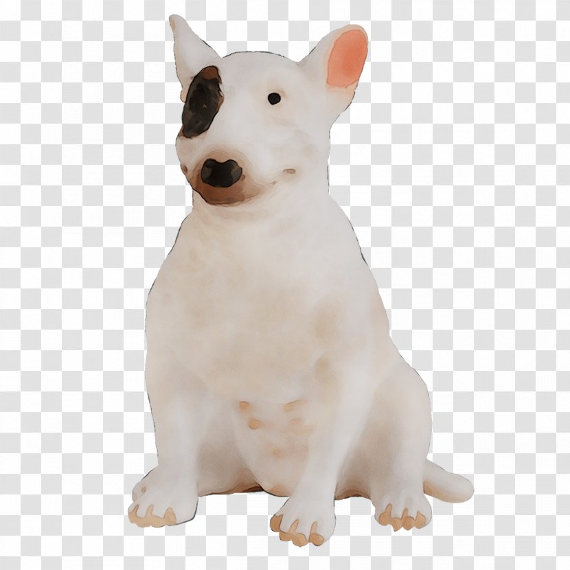 Miniature Bull Terrier And Dog Breed English White - Old - Canidae Transparent PNG