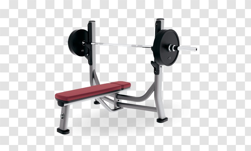 Bench Exercise Equipment Machine Fitness Centre Life - Strength Training - Gym Transparent PNG
