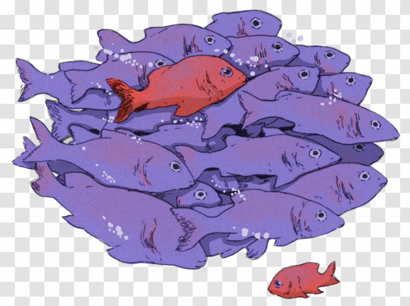 Fish Marine Biology Mammal Cartoon Transparent PNG