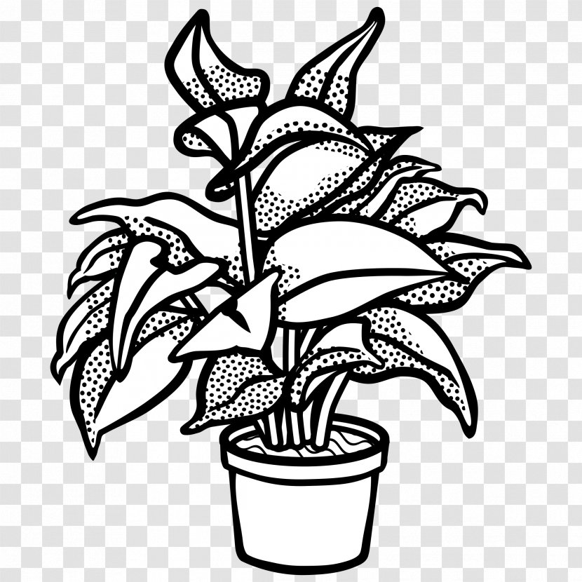 Plant Drawing Line Art Clip - Monochrome Photography - Potted Transparent PNG