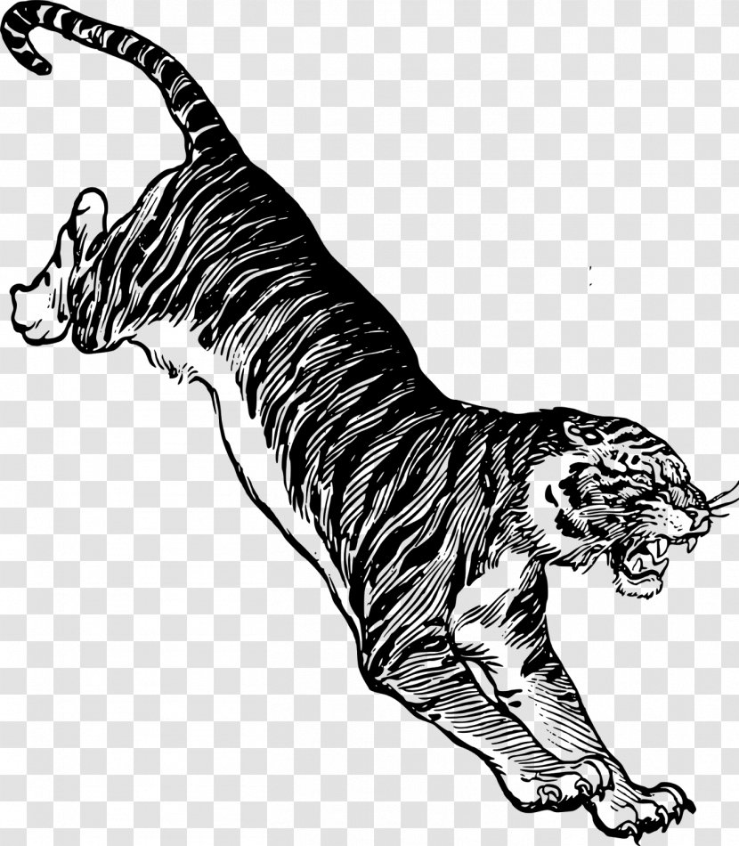 Cat Felidae Drawing Siberian Tiger Clip Art - Organism - Q Version Of The Lovely Owl Transparent PNG