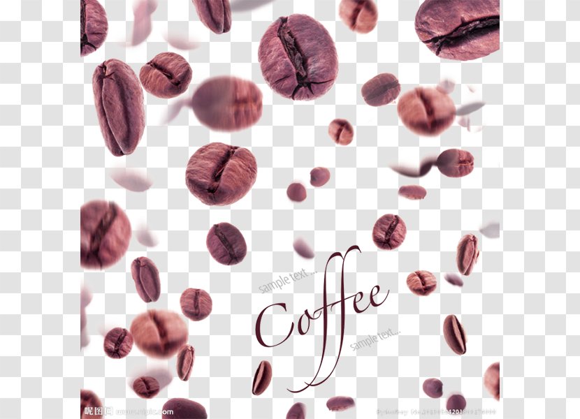 Coffee Bean Espresso Caffxe8 Americano Tea - Cup - Chocolate Transparent PNG
