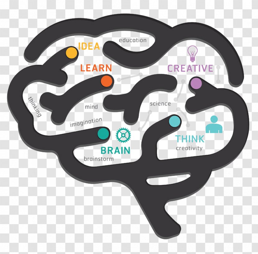 Human Brain Diagram - Cartoon - Creative Transparent PNG