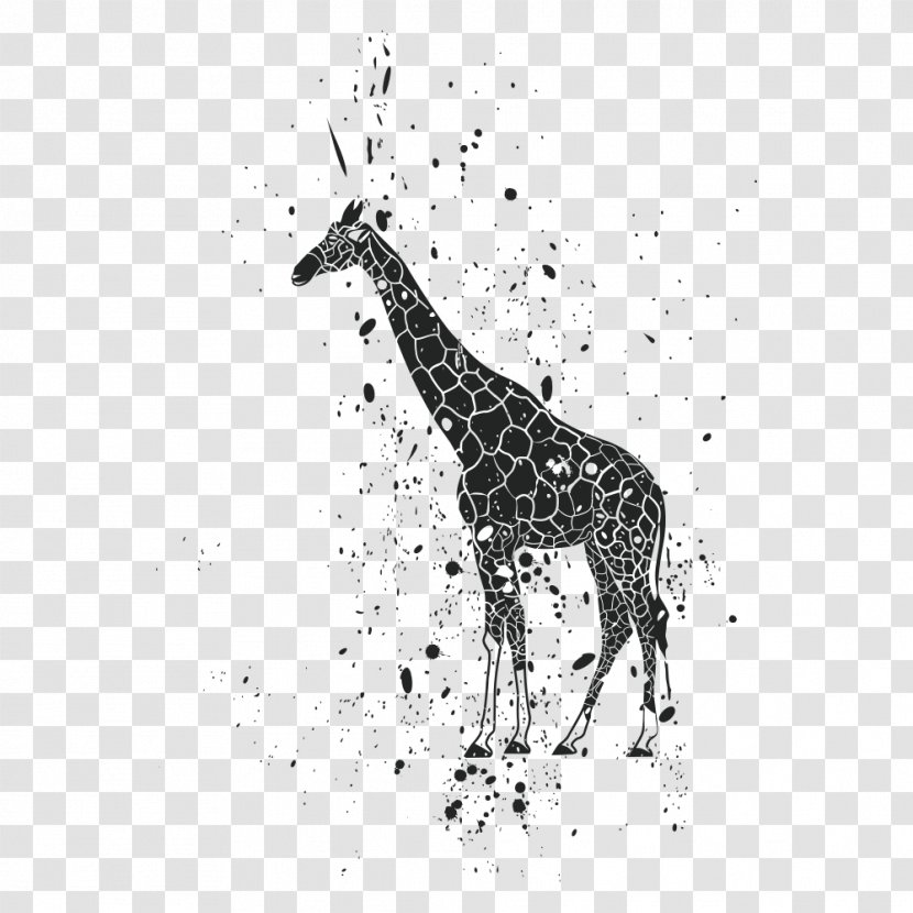 Lion Giraffe Ink Clip Art - Mammal - Animal Print Transparent PNG