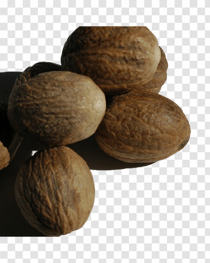 Walnut Tree Nut Allergy Ingredient VY2 - Spice Transparent PNG
