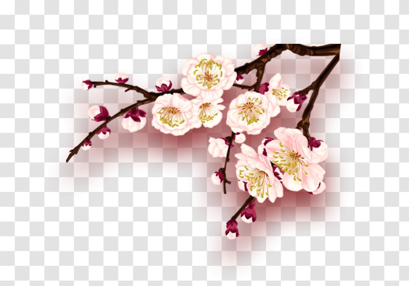 Flower New Year - Author - Plum Transparent PNG