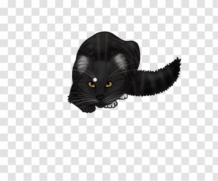 Whiskers Domestic Short-haired Cat Snout Black M - Mammal Transparent PNG