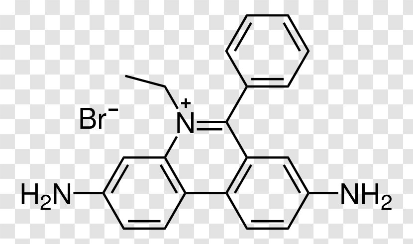 Ethidium Bromide Agarose Gel Electrophoresis Nucleic Acid - Text - Fluorescent Tag Transparent PNG