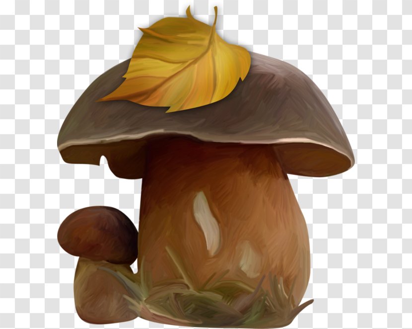 Edible Mushroom Agaricomycetes - Orange Sa - Hand-painted Mushrooms Transparent PNG